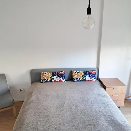 Homestay Adao's & Primavera Sound Festival Matosinhos (Porto)